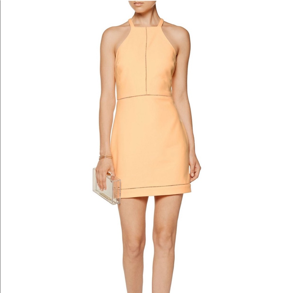 NWOT Elizabeth and James Dress